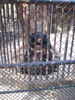 Instantly Improve Your Copywriting